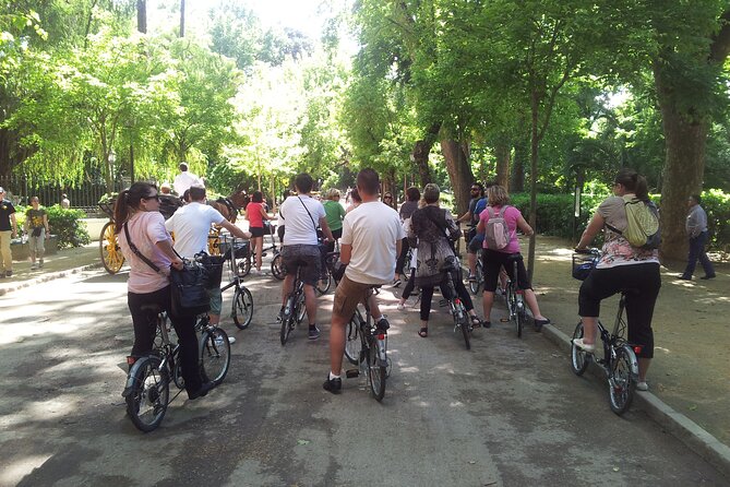 Guided Electric Bicycle Tour of Seville - The ride setup: group size, language, and meeting point
