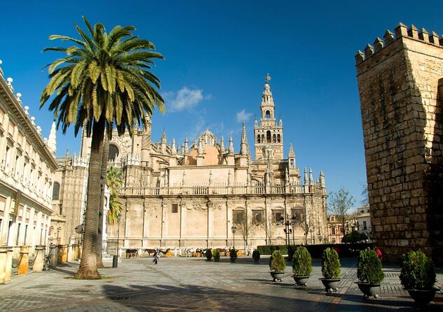 Guided Tour of Santa Cruz Jewish Quarter, Alcázar, and Cathedral - Plaza del Triunfo: how the tour sets your bearings fast