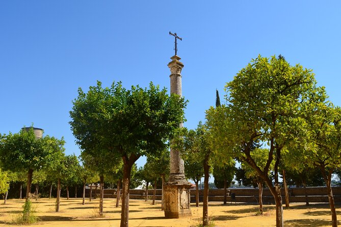 Guided tour of the Monastery of San Isidoro del Campo - Who this tour is best for (and who might want something else)