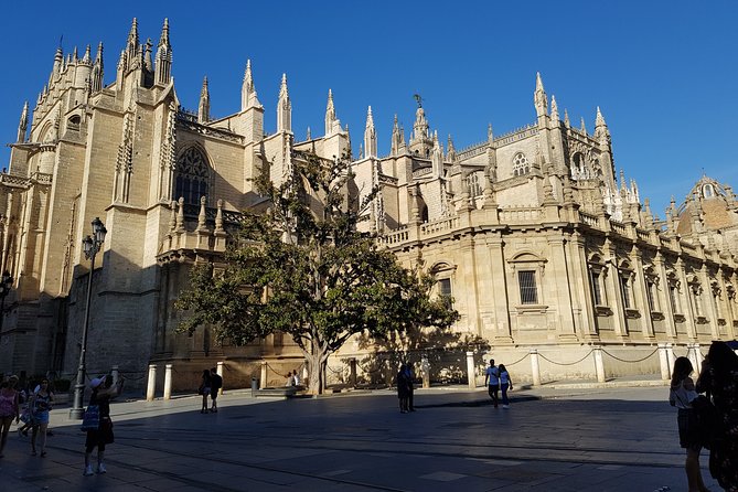 Guided Tour Sevilla Cathedral - Key highlights to know before you go