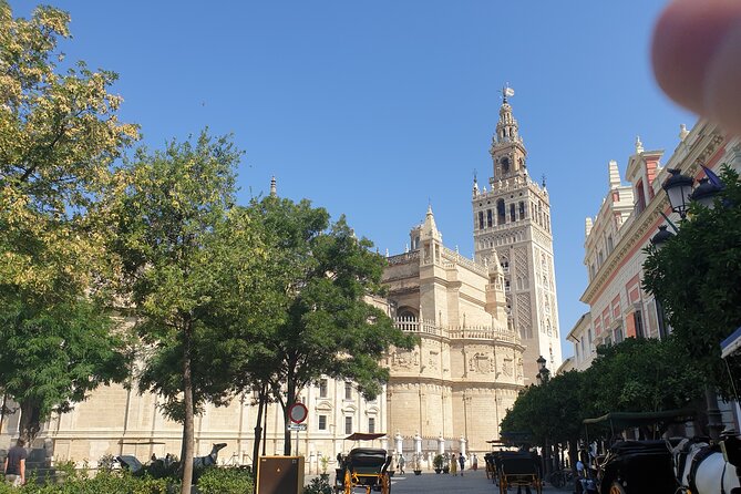 Guided Tour Sevilla Cathedral - Orange Trees Courtyard and the Giralda connection you might not notice