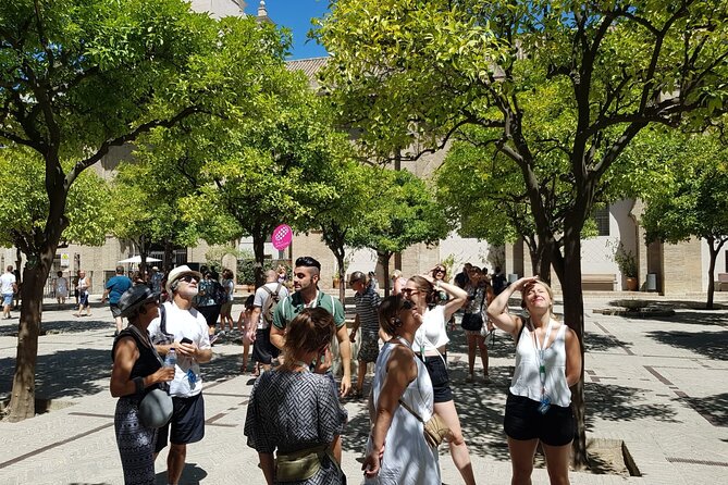 Guided Tour Sevilla Cathedral - Torre Giralda: how the tour sets you up for the climb and city views