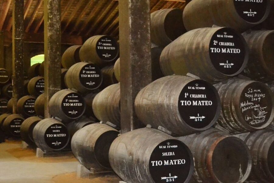 Half-Day Wine Tour in Andalusia in small group - Key moments to look for