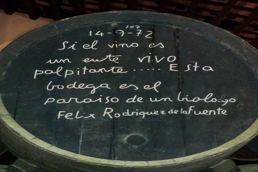 Half-Day Wine Tour in Andalusia in small group - Bodegas Andrade: what the guided winery visit gives you