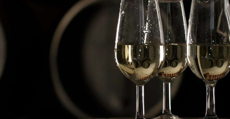 Half-Day Wine Tour in Andalusia in small group - The tasting: what you’ll likely sample and how to get more out of it