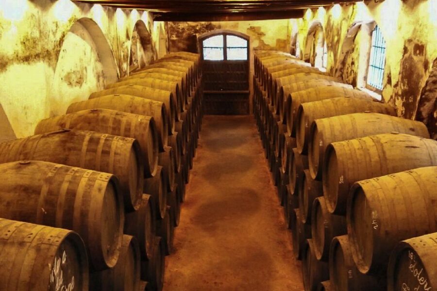 Half-Day Wine Tour in Andalusia in small group - Small group vs private tour: which fits your style
