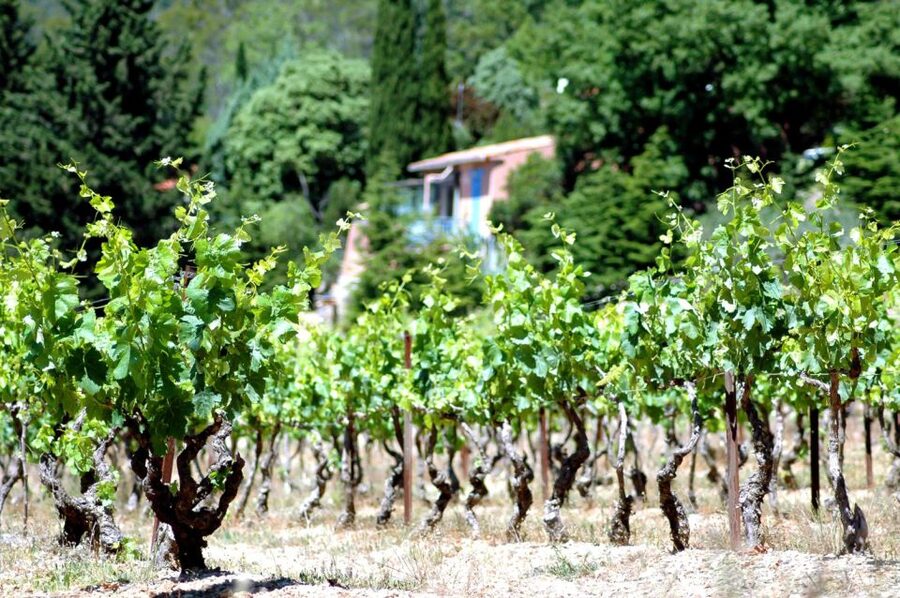 Half-Day Wine Tour in Andalusia in small group - Things to know before you go (so the day goes smoothly)