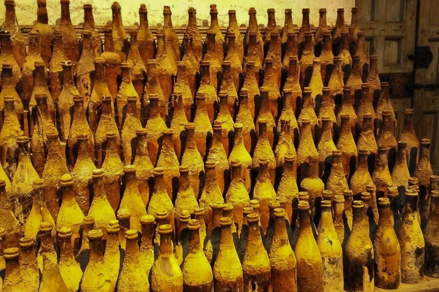 Half-Day Wine Tour in Andalusia in small group - Pickup, coach ride, and the reality of timing