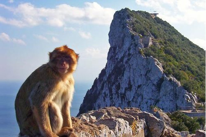 Historic Gibraltar Rock and St Michael's Cave Tour from Seville - What the Tour Guides Do With the Time You Actually Have
