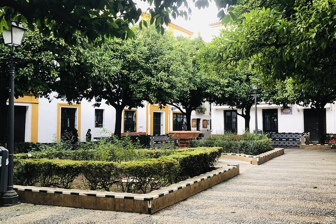 History of Women of Seville Private Tour - Royal women in the streets: Maria Luisa Fernanda de Borbón and Isabel II