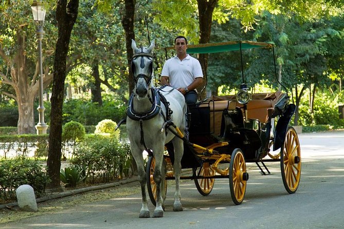 Horse and Buggy Ride in Seville with guide - Paseo Colón: an easy breather between the heavy hitters