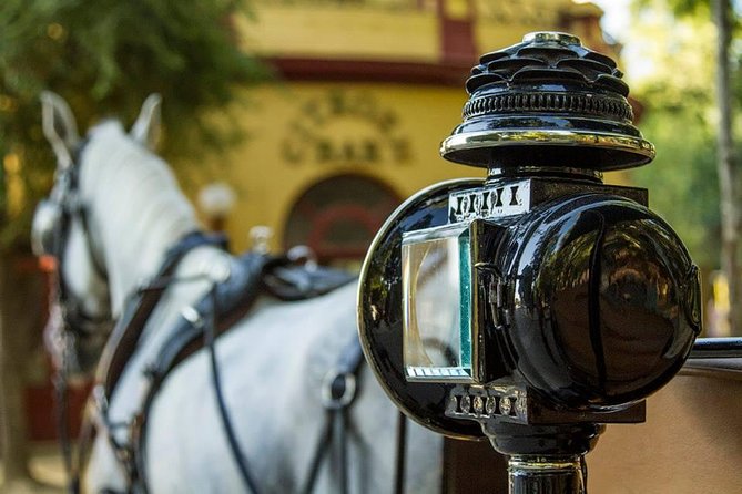 Horse and Buggy Ride in Seville with guide - Alcázar Royal Palace views without the crowds