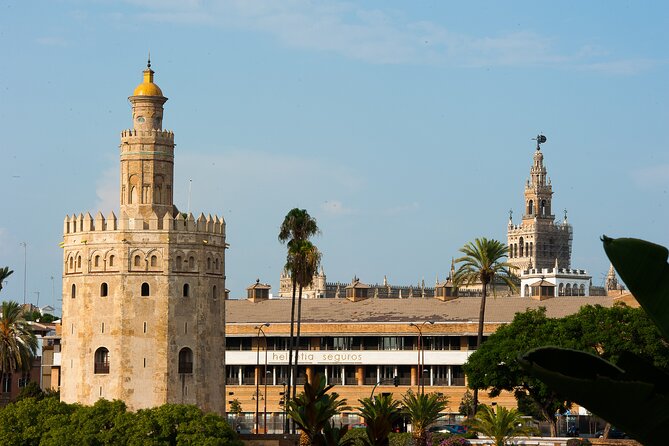 Horse and Carriage Sightseeing Tour in Seville - Timing and Weather: Plan for Flexibility