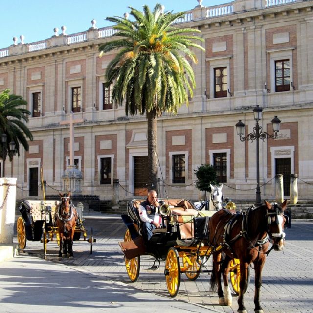 Horse-Drawn Carriage Ride Through Seville - University of Seville and Hotel Alfonso XIII: the quick context stops