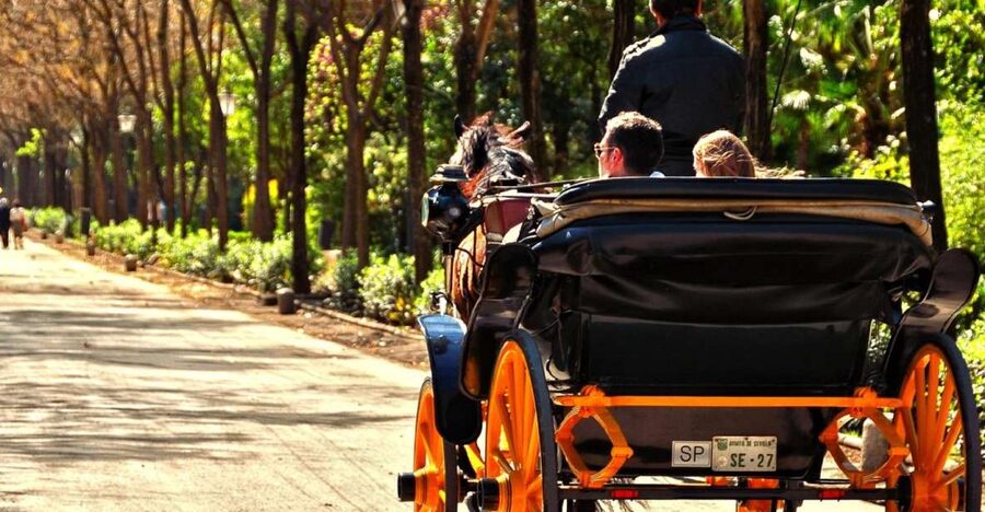 Horse-Drawn Carriage Ride Through Seville - Coachman style, small-group comfort, and the Spanish-language reality
