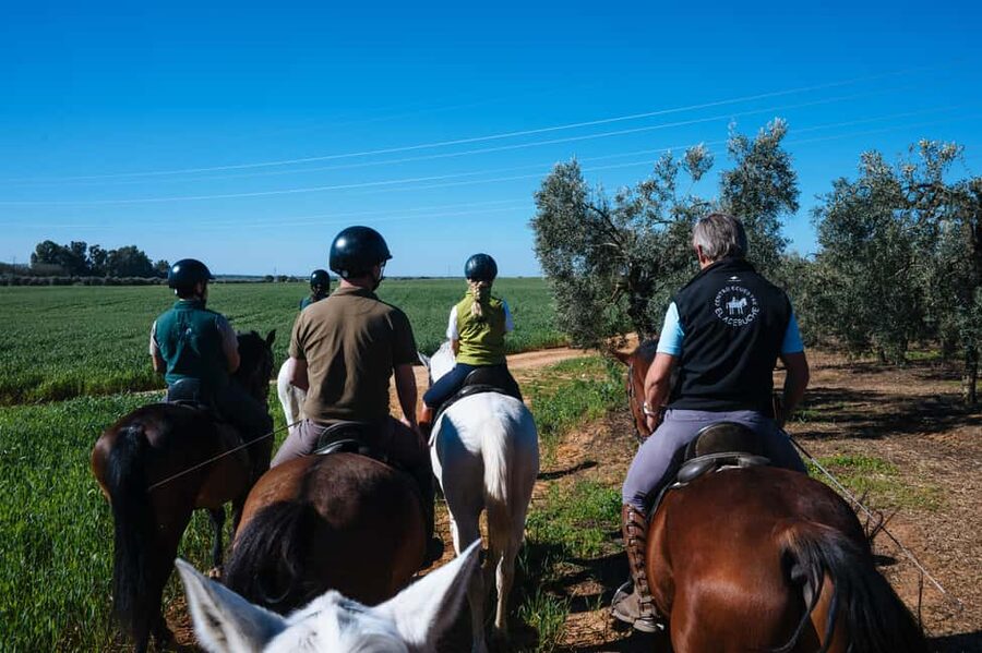 Horseback ride around Doñana National Park - Price and value: what $100 buys you (and why it’s not overpriced)