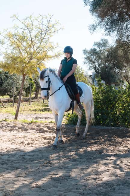 Horseback ride around Doñana National Park - Timing, group size, and how to plan your day from Seville