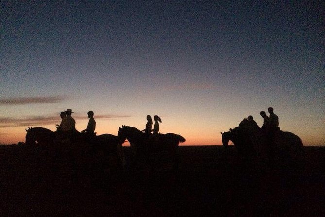 Horseback riding around Doñana National Park - Key Things I’d Book This For