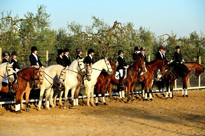 Horseback riding around Doñana National Park - Why This Ride Feels Like Real Andalucia (Not a Set Tour)