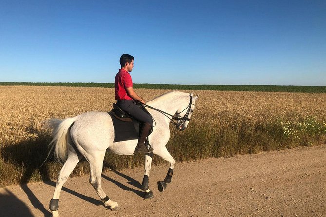 Horseback riding around Doñana National Park - Price and Value: What You’re Paying For at $102.80