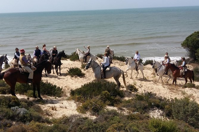 Horseback riding tour of Doñana and visit of El Rocio - The ride through Doñana: beach, dunes, and pine forest