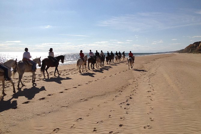 Horseback riding tour of Doñana and visit of El Rocio - Getting there and staying flexible: Seville to Doñana in one smooth outing