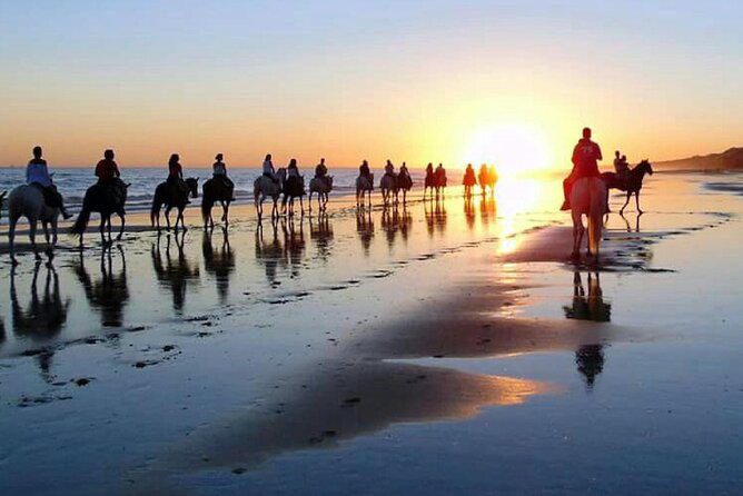 Horseback riding tour of Doñana and visit of El Rocio - Stop by Stop: what happens at each main point of the tour