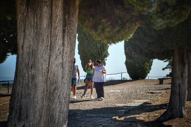 Italica 2-Hour Private Guided Tour - Weather, walking, and timing: make the 2 hours work for you