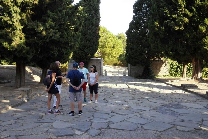 Italica 2-Hour Private Guided Tour - Price of $106.82 per person: is it good value?