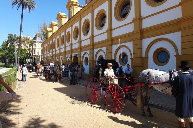 Jerez and Cadiz Day Trip from Seville - Cádiz free time: what you should do with your hours