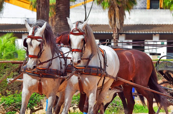 Jerez and Cadiz Day Trip from Seville - How good is the value at about $160 per person?