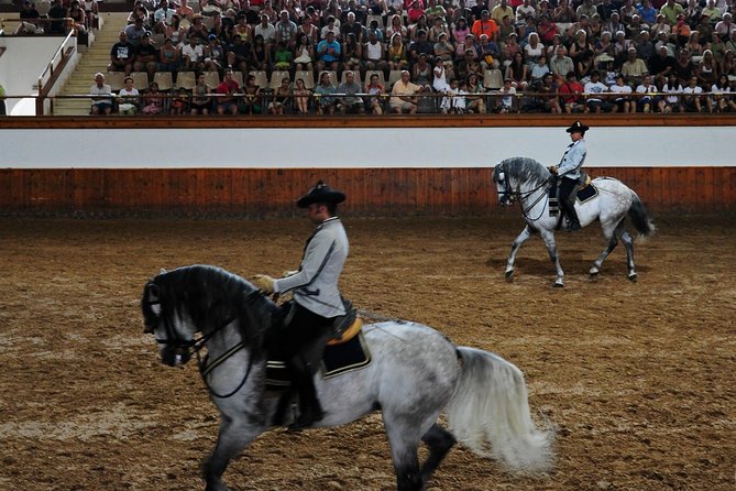 Jerez and Cadiz with Horse Ballet and Sherry Tasting from Seville - Jerez Sherry Tasting: A Wine Lesson That Doesn’t Feel Like Homework