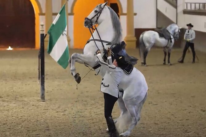Jerez & Cadiz Winery with Tasting & Opt Horse Show from Seville - Key highlights worth planning for