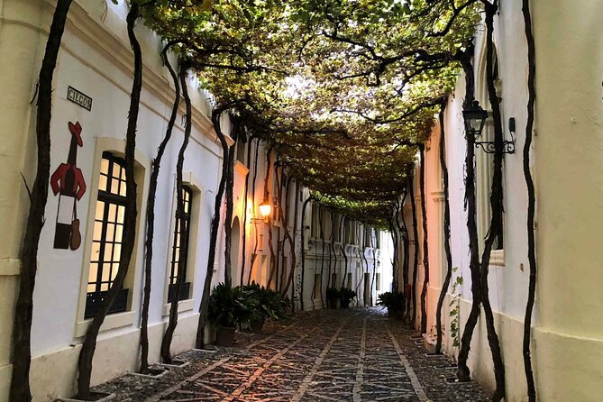 Jerez Winery Tour and wine tasting - Timing: why the 9:00 start works (and how to survive without lunch)