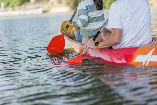 Kayak Guided Tours - The route in plain English: what you see at each stop