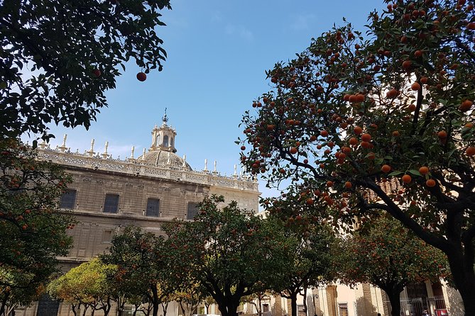 Luggage Room in Seville City Centre - Why Luggage Storage in Seville Changes Your Whole Day