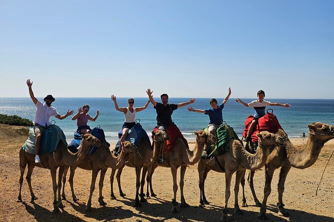 Morocco Express: Private Tour Tangier from Seville AllInclusive - Key things I’d note before you go