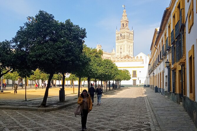 Must See Running Tour Of Sevilla - Archivo General de Indias and the Bullring: Empire Documents to 18th-Century Sport