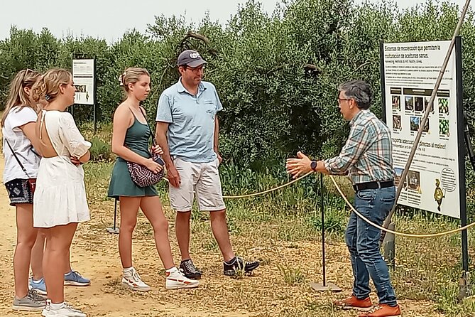 Oleotourism and olive oil tasting in Seville - Private tour - Key highlights to look for