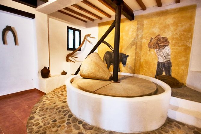 Oleotourism and olive oil tasting in Seville - Private tour - How the tour works at Hacienda: mills, towers, and a guided path