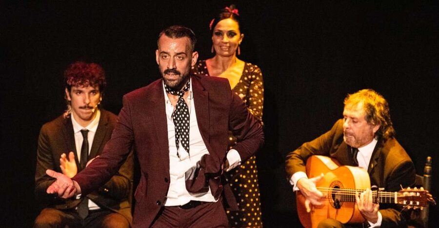 Panoramic Guadalquivir Cruise + Flamenco Show & Walking tour - Key Reasons This Combo Works