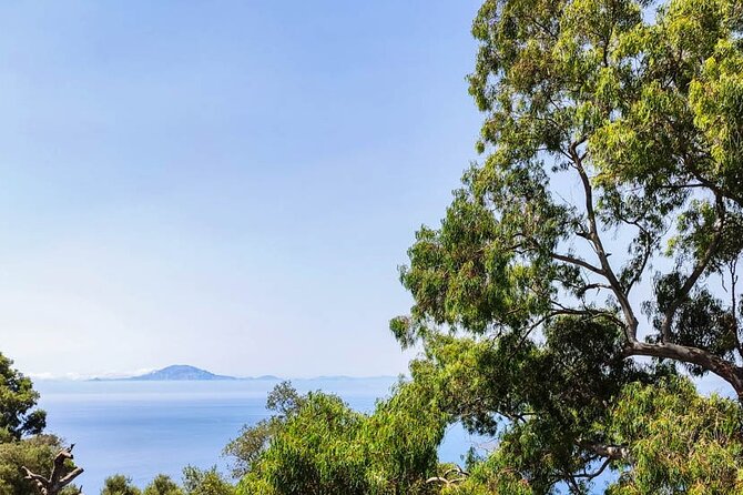 Premium private trip to Gibraltar from Seville (multiple options) - Why Seville to Gibraltar is a smart private-day plan