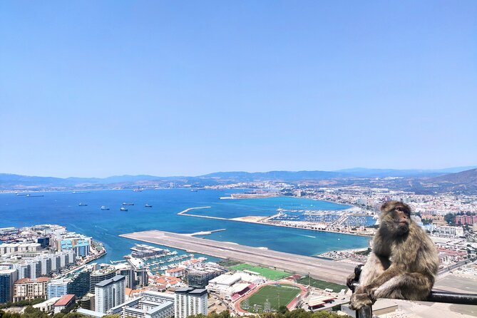Premium private trip to Gibraltar from Seville (multiple options) - Pillars of Hercules viewpoint: a 15-minute payoff for big-picture views