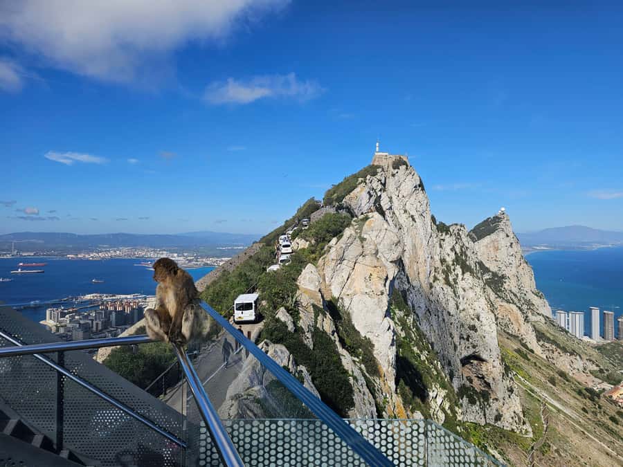 Private Day Trip: Gibraltar & (Tangier) Morocco from Seville - Gibraltar’s Rock visit: British outpost views and Barbary macaque moments