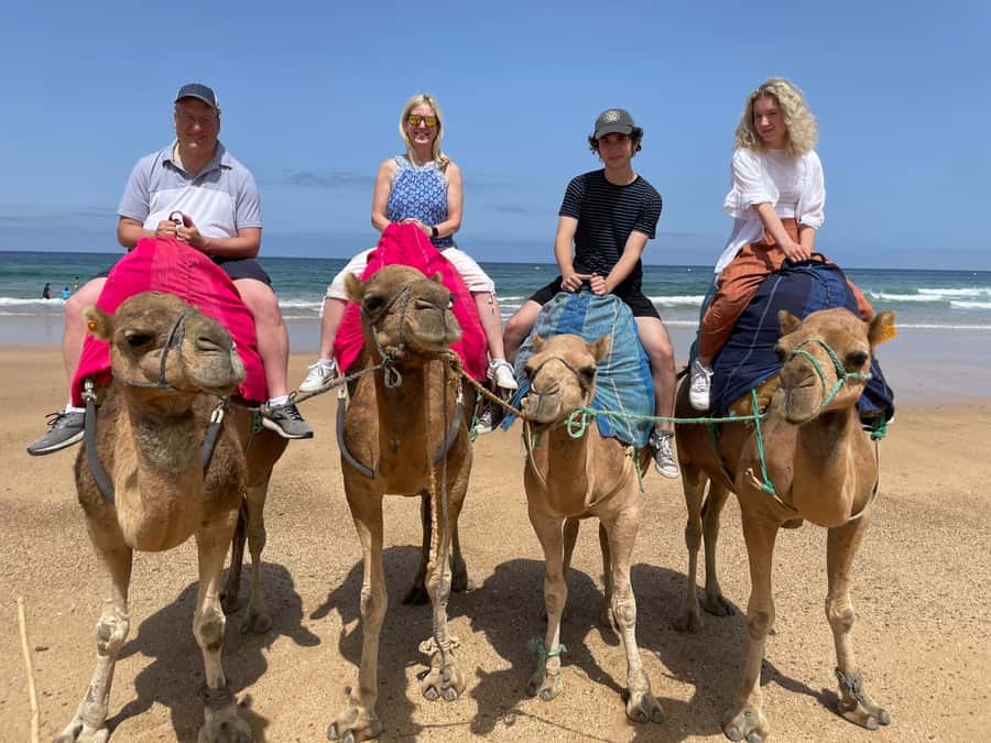 Private Day Trip: Gibraltar & (Tangier) Morocco from Seville - Tarifa and the Strait of Gibraltar: two seas, one boat ride