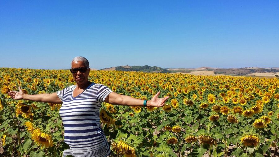 Private Day Trip to Ronda and Malaga from Seville - Malaga by Day: A Town-Walk Stop with Real Port-City Context