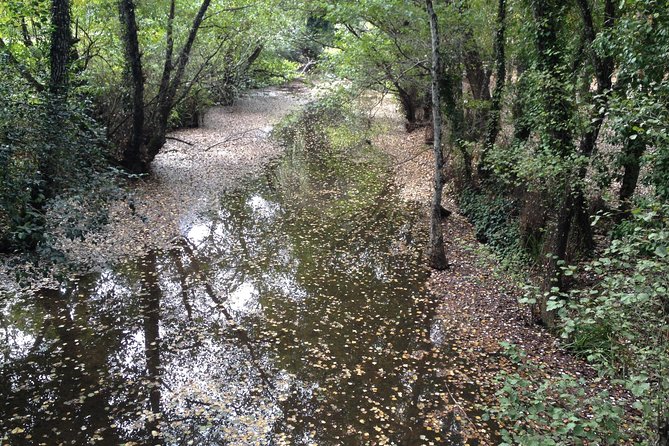 Private Ebike full day excursion to Sierra Norte Natural Park - Price and value: what $289.11 buys you in the real world