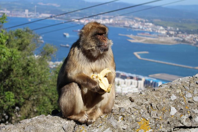 Private Gibraltar Day Tour from Seville - Main Street Stop: Quick Orientation That Helps You Enjoy the Rock Later