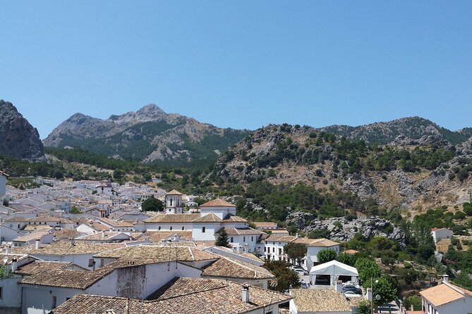 Private Guided Day Trip to the White Villages and Ronda - Price and value: what $396.46 per person buys you