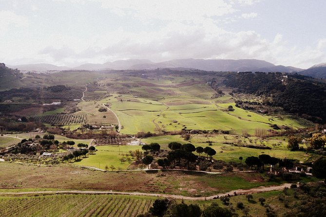 Private Guided Day Trip to the White Villages and Ronda from Seville - Ronda’s Puente Nuevo: where the views justify the drive
